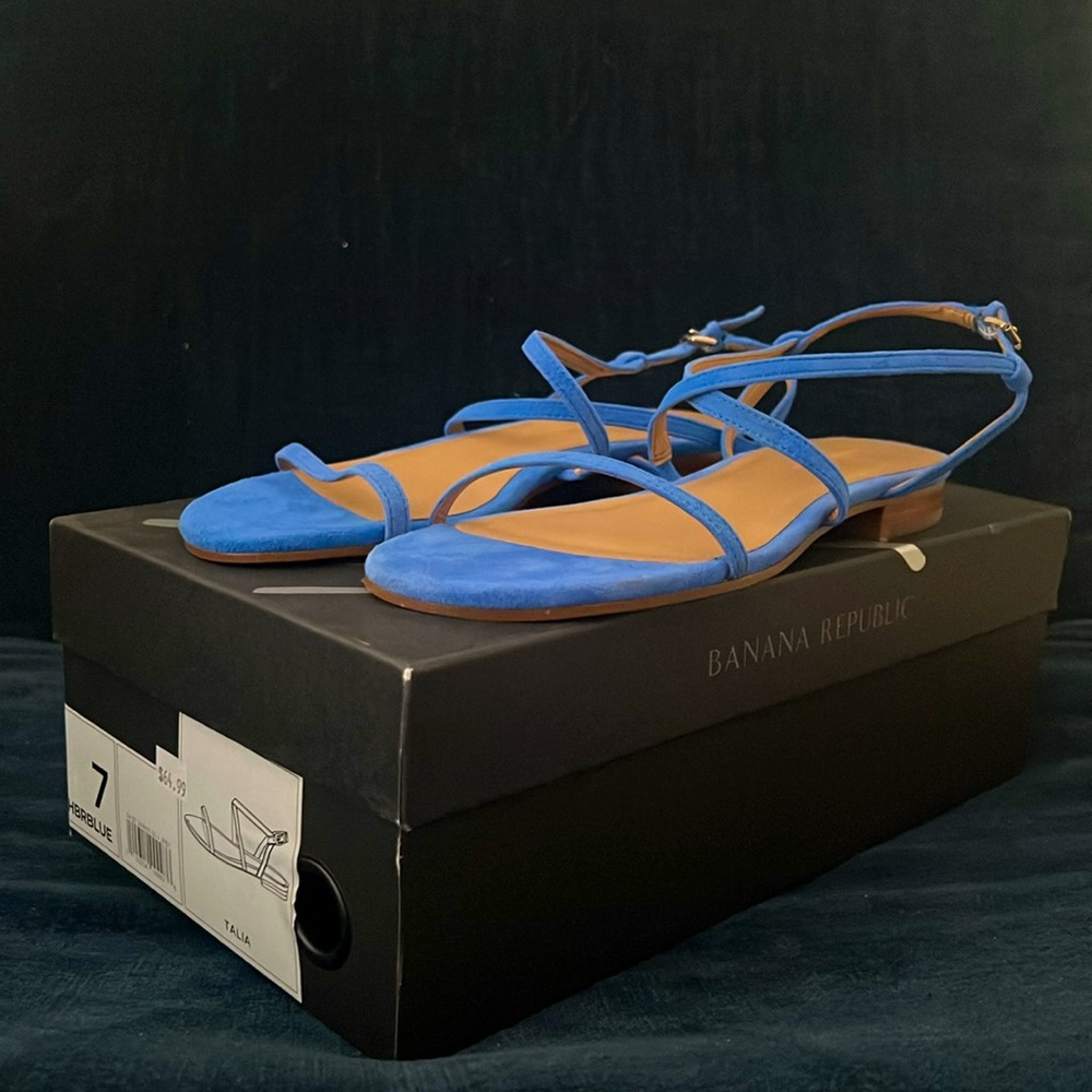 Blue Banana Republic Suede Talia Flat Sandals